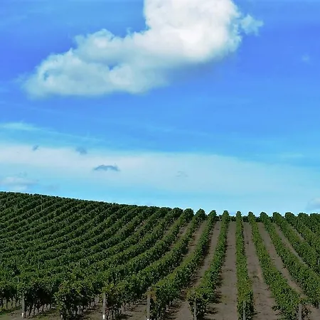 Casa Gli Ulivi Arzachena