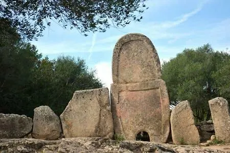 Lejlighed Casa Gli Ulivi *
